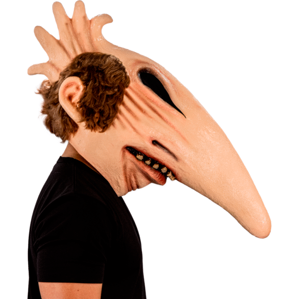 Adam Maitland