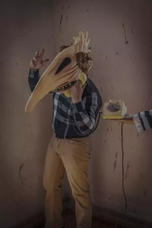 10274 7 Adam Maitland