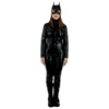 Catwoman DC Core