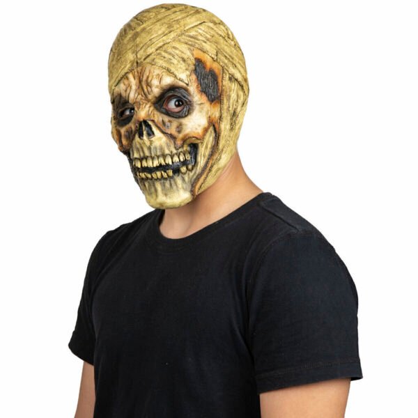22026 4 Mummify