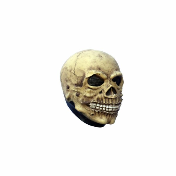 25007 1 Junior Skull