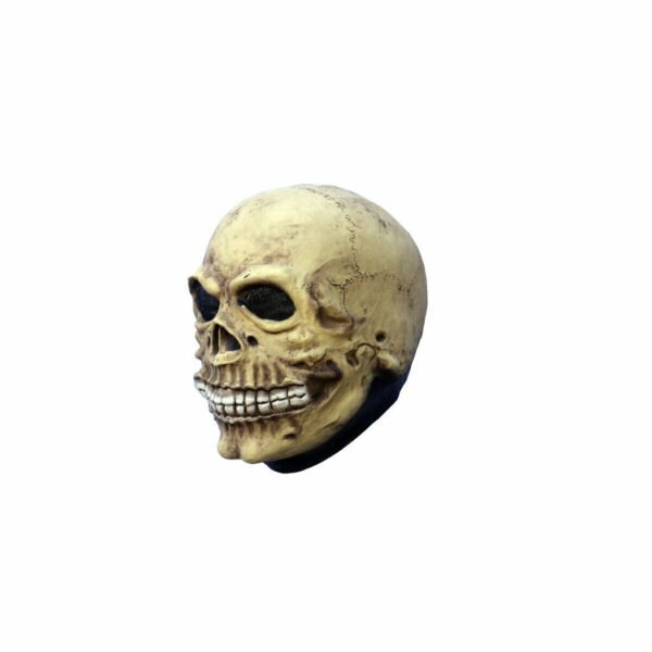 25007 4 Junior Skull