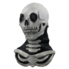 25022 2 Long Neck skull (White)