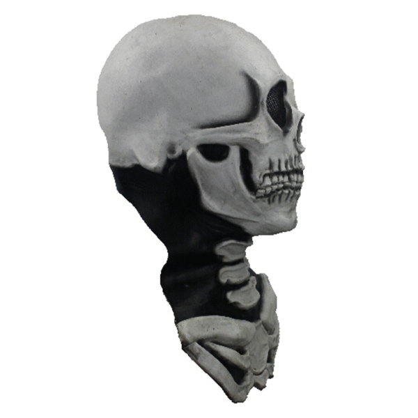 25022 5 Long Neck skull (White)