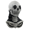 25022 6 Long Neck skull (White)