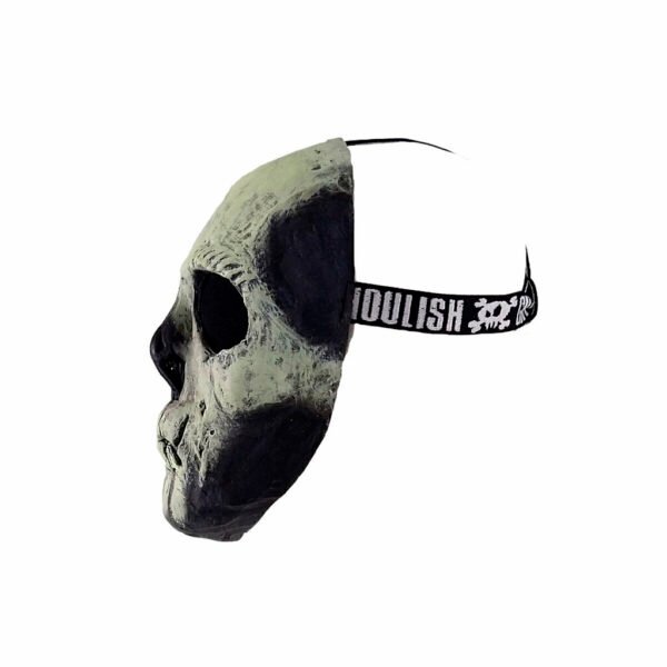 25608 1 Glow in the Dark Skull