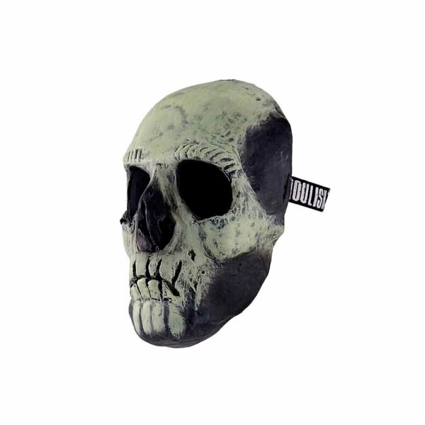25608 4 Glow in the Dark Skull