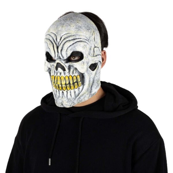 25637 2 White Skull