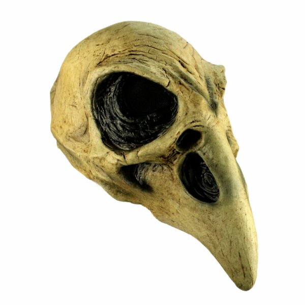 Crow Skull