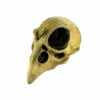 Crow Skull