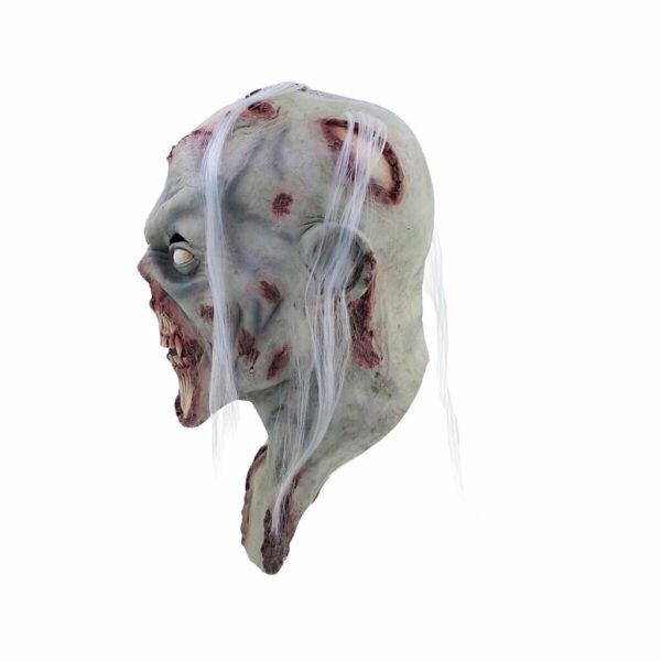 26384 4 Rotting Death