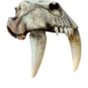 26685 5 Saber Tooth Helmet