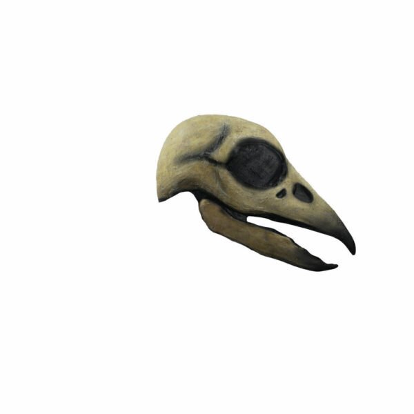 Raven Skull