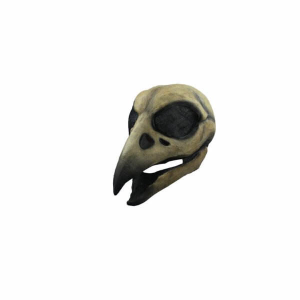 Raven Skull