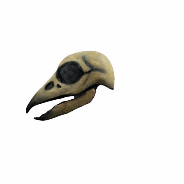 Raven Skull
