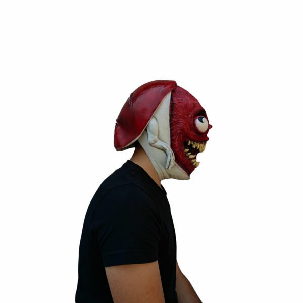 26923 5 Bridge Maggot