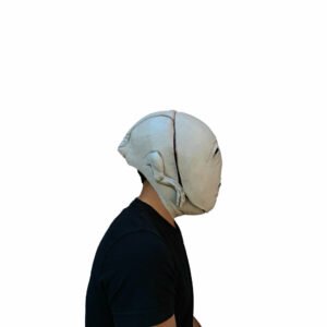 26923 6 Bridge Maggot