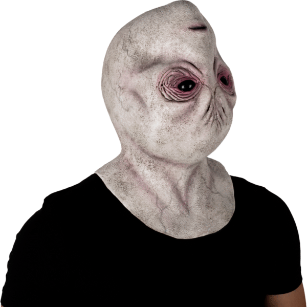 30008 6 Alien invader