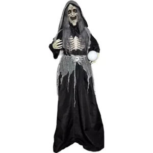 332541 Animatronix Bruja plateada