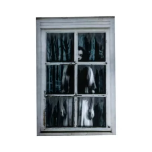 335115 3 Ventana Espectro