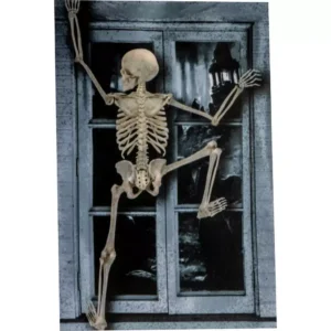 335117 3 Ventana Esqueleto