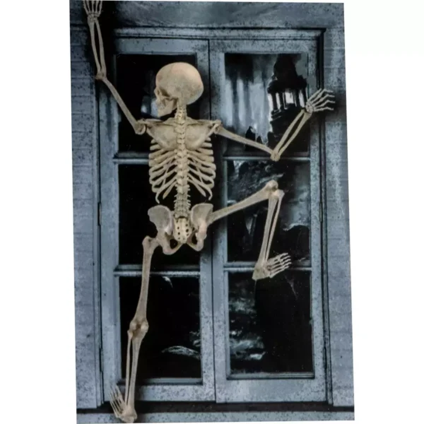 335117 3 Ventana Esqueleto