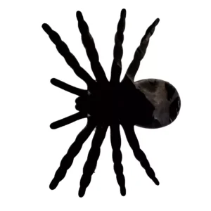 662495 2 Araña para Bromas