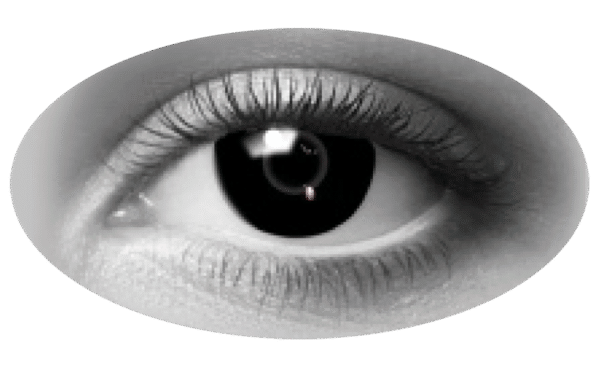 Pupilentes Alter Ego Collection