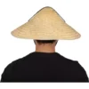 666040 3 Sombrero Chino