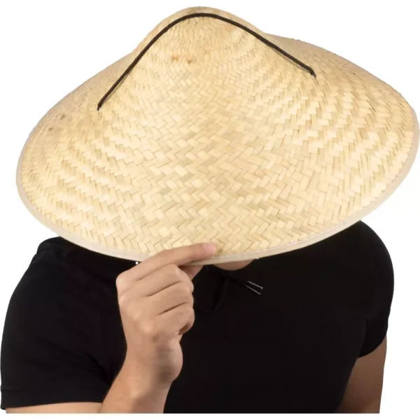 666040 6 Sombrero Chino