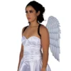 668015 2 Alas de ángel de lujo