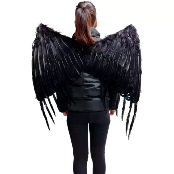 668017 Alas demoniacas