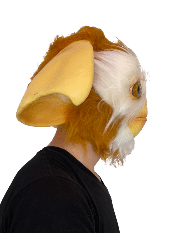 Gizmo Mask