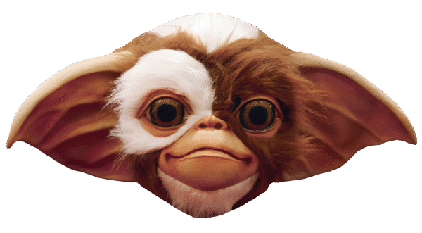 Gizmo Mask
