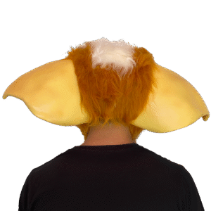 Gizmo Mask