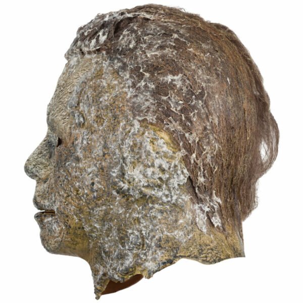 74218 5 Halloween Ends Michael Myers