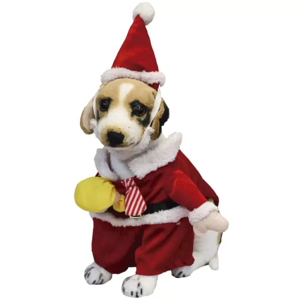 Traje Papa Noe -Talla XS