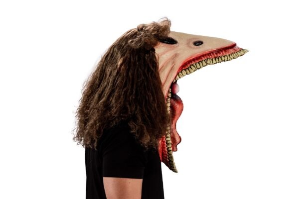 10273 6 Barbara Maitland