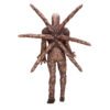 Vecna floating prop