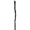 Lord Gandalf Staff