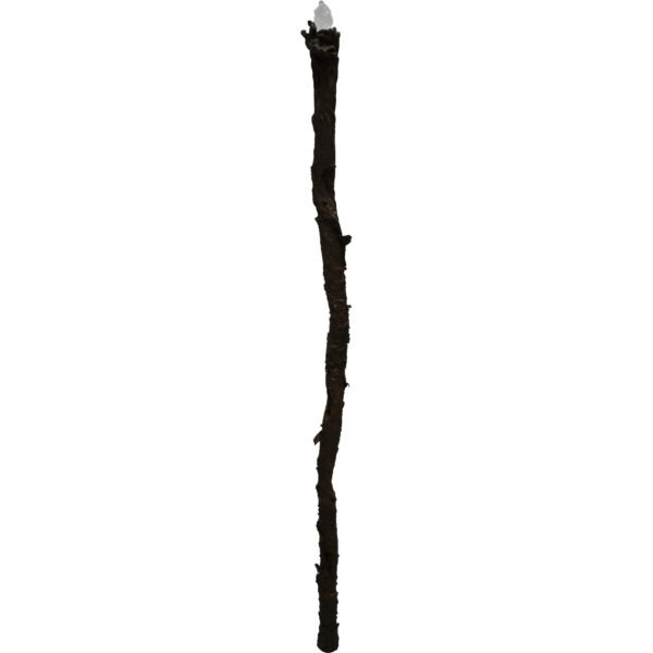 Lord Gandalf Staff