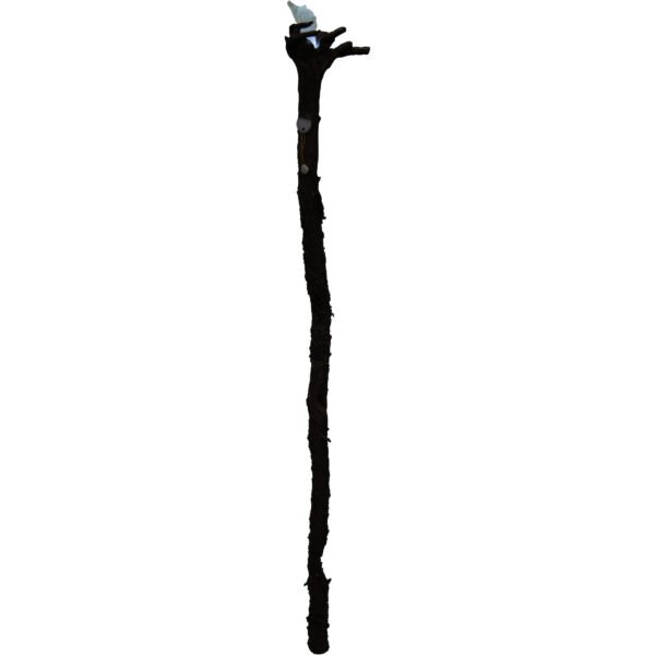 Lord Gandalf Staff