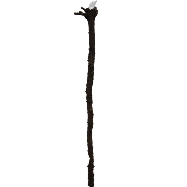 Lord Gandalf Staff
