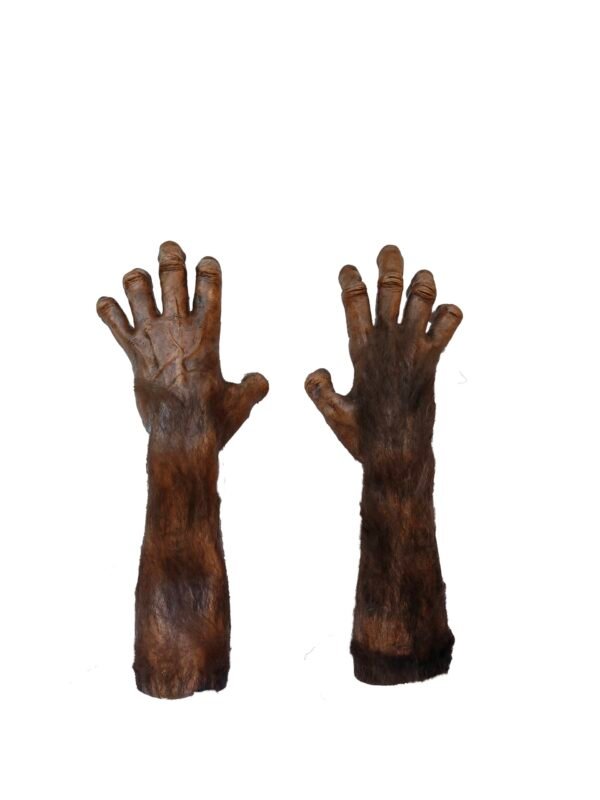 20013 4 Primal Beast