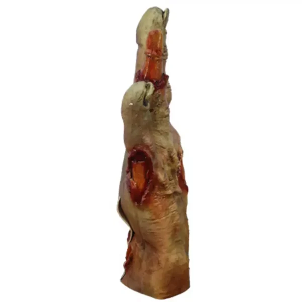 Zombie Flesh Hands