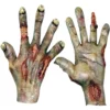 Zombie Rotted Hands