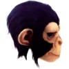 Chimp George
