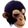 Chimp George