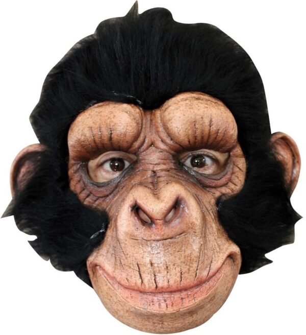 Chimp George