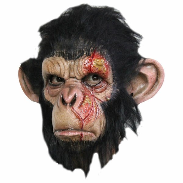Infected Chimp